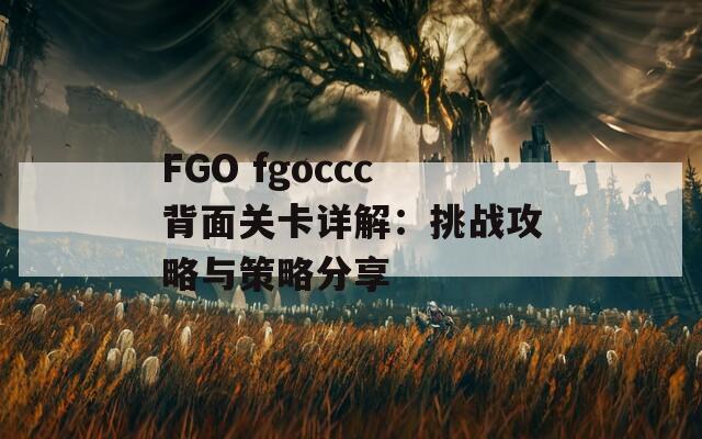 FGO fgoccc背面关卡详解：挑战攻略与策略分享