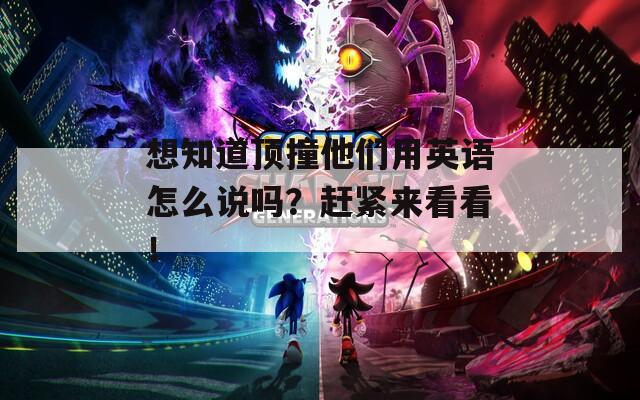 想知道顶撞他们用英语怎么说吗？赶紧来看看！
