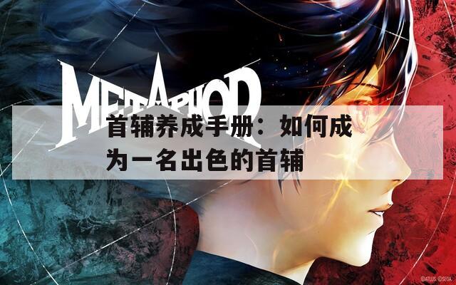 首辅养成手册：如何成为一名出色的首辅