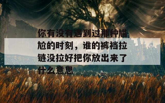 你有没有遇到过那种尴尬的时刻，谁的裤裆拉链没拉好把你放出来了什么意思
