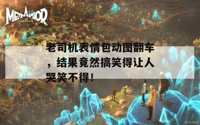 老司机表情包动图翻车，结果竟然搞笑得让人哭笑不得！