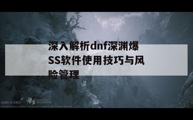 深入解析dnf深渊爆SS软件使用技巧与风险管理