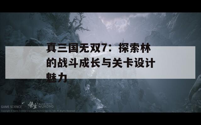 真三国无双7：探索林的战斗成长与关卡设计魅力