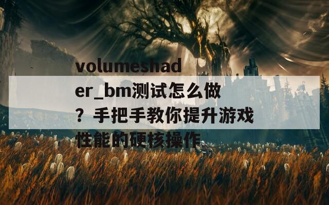 volumeshader_bm测试怎么做？手把手教你提升游戏性能的硬核操作