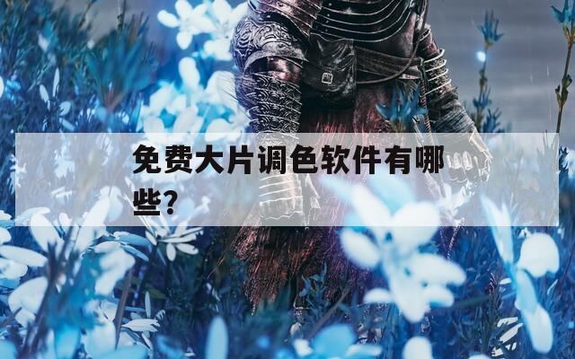 免费大片调色软件有哪些？