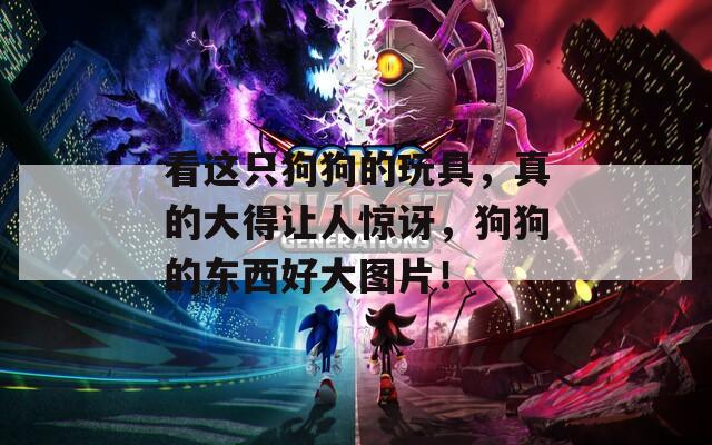 看这只狗狗的玩具，真的大得让人惊讶，狗狗的东西好大图片！