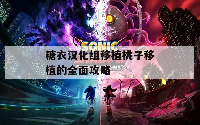 糖衣汉化组移植桃子移植的全面攻略