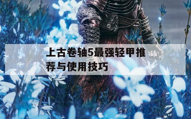 上古卷轴5最强轻甲推荐与使用技巧