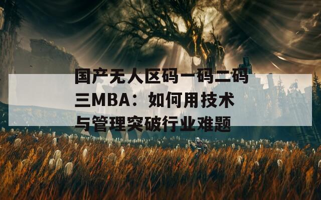 国产无人区码一码二码三MBA：如何用技术与管理突破行业难题