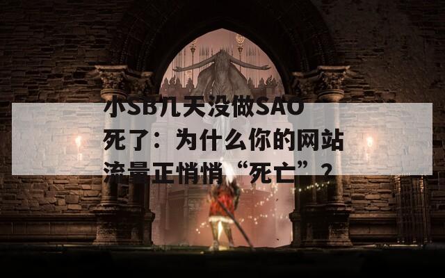 小SB几天没做SAO死了：为什么你的网站流量正悄悄“死亡”？