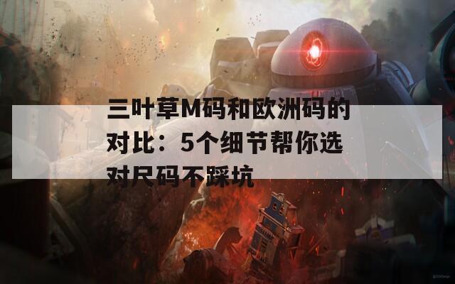 三叶草M码和欧洲码的对比：5个细节帮你选对尺码不踩坑