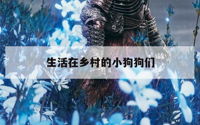 生活在乡村的小狗狗们