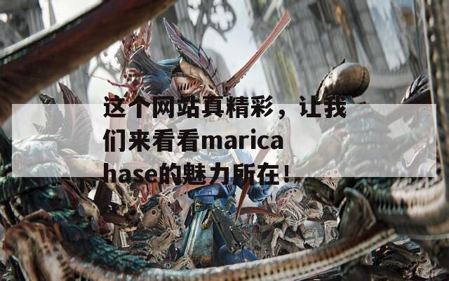 这个网站真精彩，让我们来看看maricahase的魅力所在！