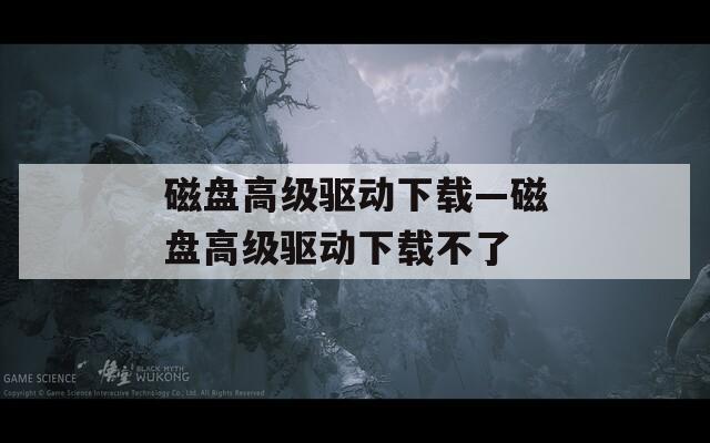 磁盘高级驱动下载—磁盘高级驱动下载不了