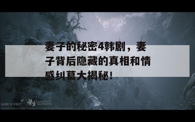 妻子的秘密4韩剧，妻子背后隐藏的真相和情感纠葛大揭秘！
