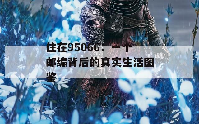 住在95066：一个邮编背后的真实生活图鉴