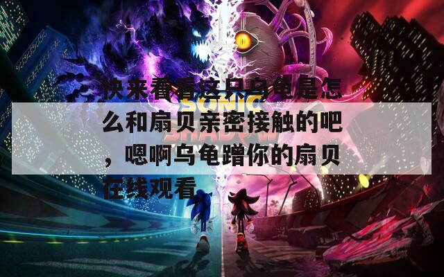 快来看看这只乌龟是怎么和扇贝亲密接触的吧，嗯啊乌龟蹭你的扇贝在线观看