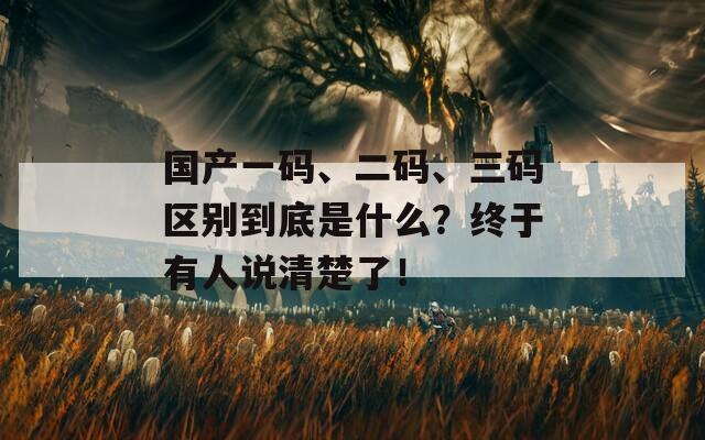 国产一码、二码、三码区别到底是什么？终于有人说清楚了！