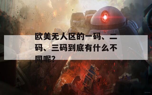 欧美无人区的一码、二码、三码到底有什么不同呢？