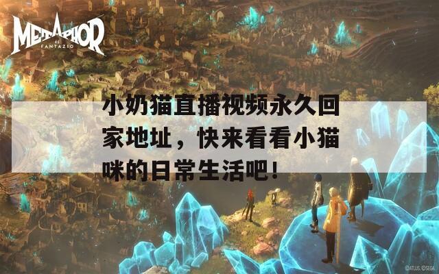 小奶猫直播视频永久回家地址，快来看看小猫咪的日常生活吧！