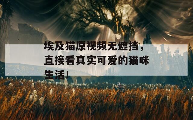 埃及猫原视频无遮挡，直接看真实可爱的猫咪生活！