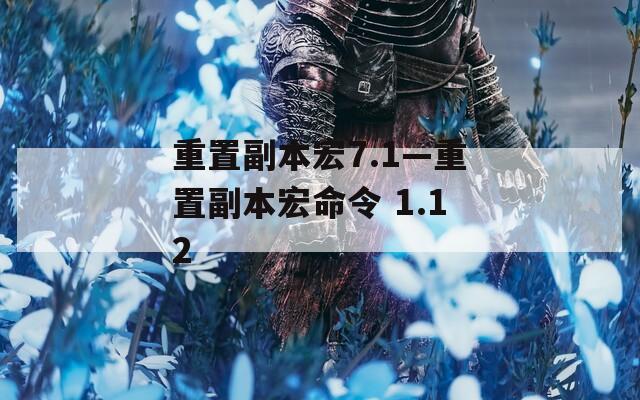 重置副本宏7.1—重置副本宏命令 1.12