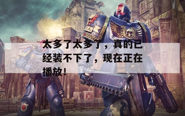 太多了太多了，真的已经装不下了，现在正在播放！