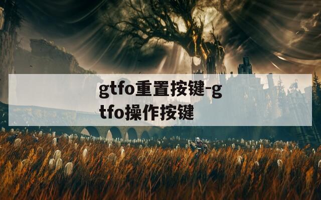 gtfo重置按键-gtfo操作按键