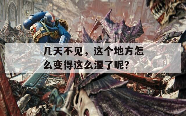 几天不见，这个地方怎么变得这么湿了呢？