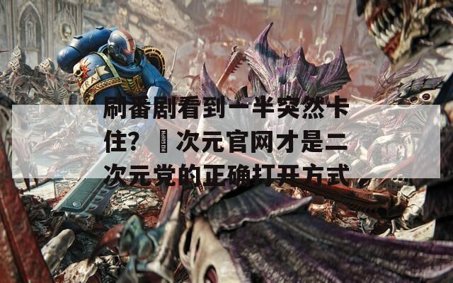 刷番剧看到一半突然卡住？囧次元官网才是二次元党的正确打开方式