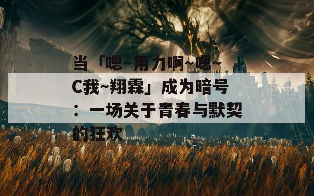 当「嗯～用力啊～嗯～C我～翔霖」成为暗号：一场关于青春与默契的狂欢
