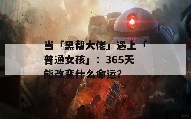 当「黑帮大佬」遇上「普通女孩」：365天能改变什么命运？