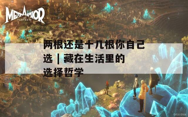 两根还是十几根你自己选 | 藏在生活里的选择哲学