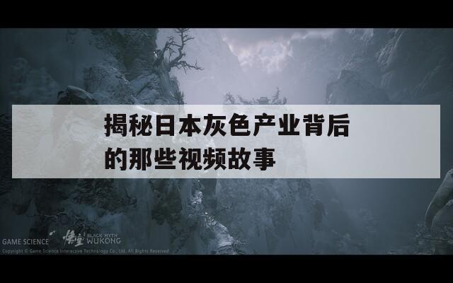 揭秘日本灰色产业背后的那些视频故事