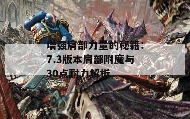 增强肩部力量的秘籍：7.3版本肩部附魔与30点耐力解析