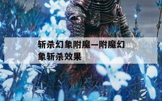 斩杀幻象附魔—附魔幻象斩杀效果