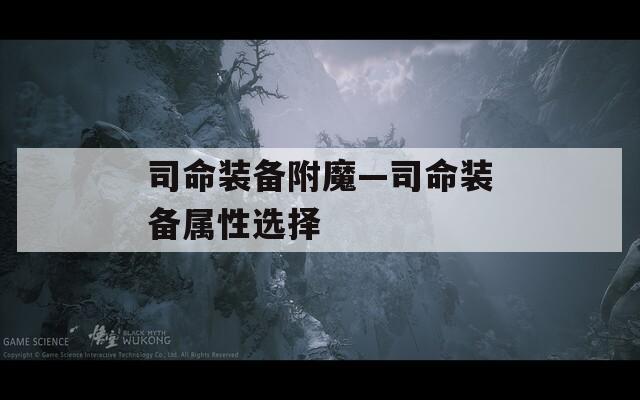 司命装备附魔—司命装备属性选择