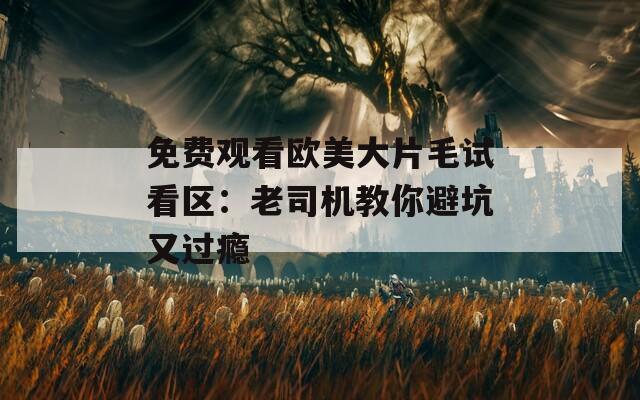 免费观看欧美大片毛试看区：老司机教你避坑又过瘾