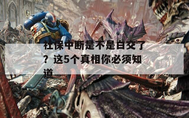 社保中断是不是白交了？这5个真相你必须知道