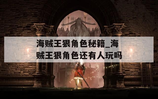 海贼王狠角色秘籍_海贼王狠角色还有人玩吗