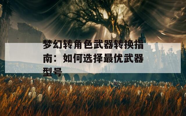 梦幻转角色武器转换指南：如何选择最优武器型号