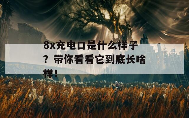 8x充电口是什么样子？带你看看它到底长啥样！