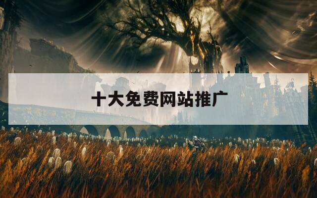 十大免费网站推广