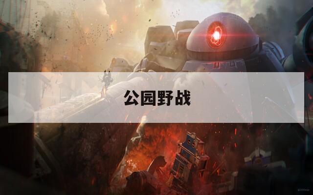 公园野战