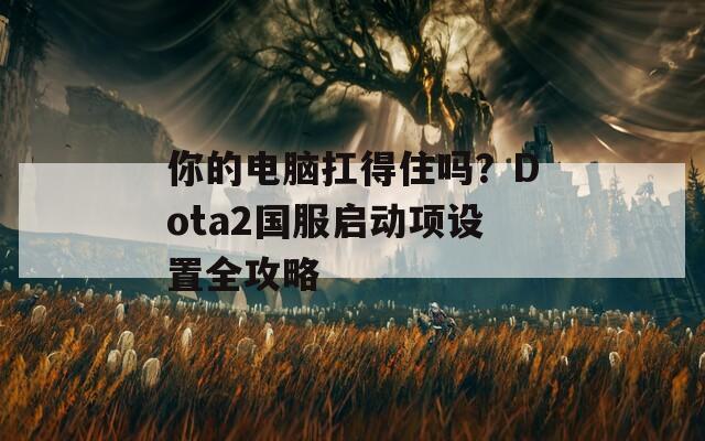 你的电脑扛得住吗？Dota2国服启动项设置全攻略